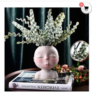 Adorable head-shaped resin planter.